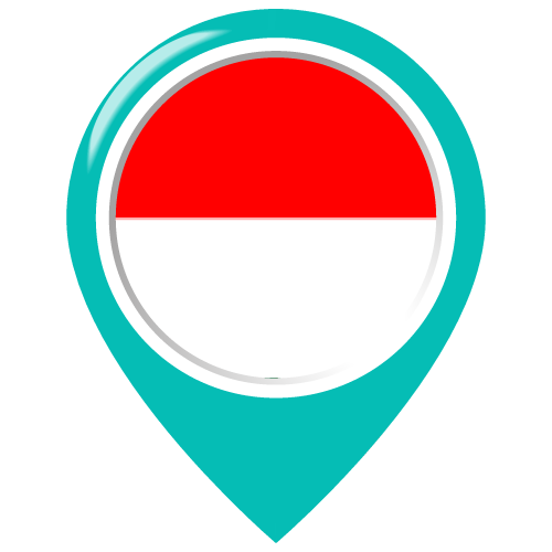 palmaz-Indonesia-1.png